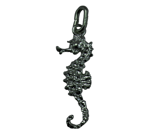 Hippocampus